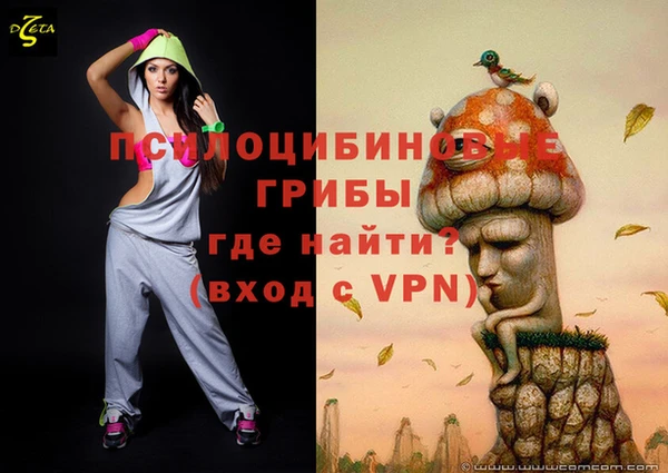 мдма Няндома